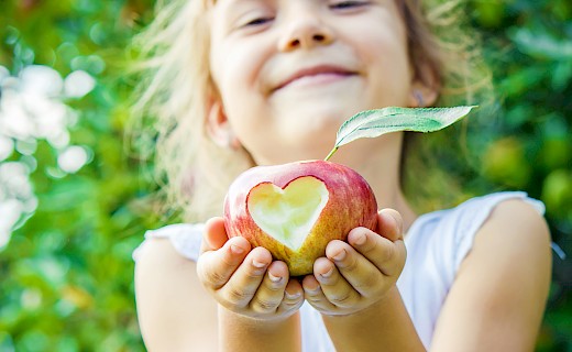 Mädchen lächelt und hält Apfel mit Herz in die Kamera
