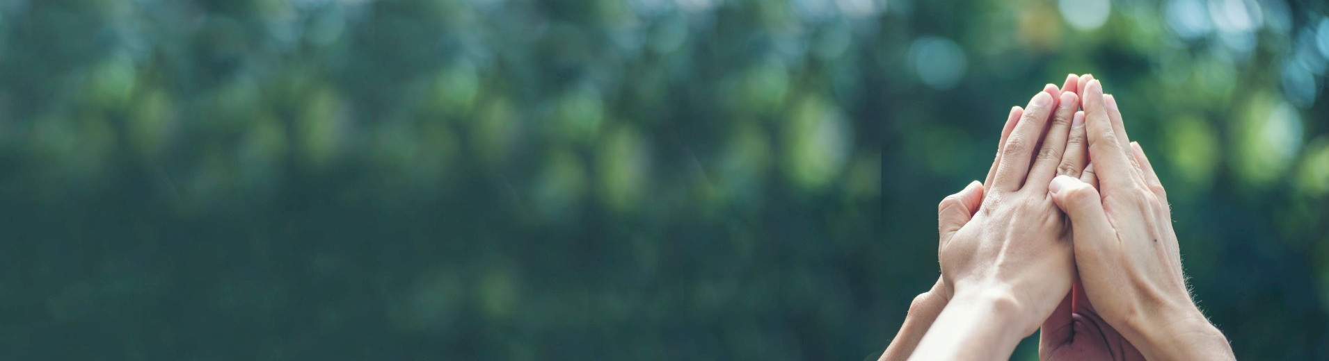 Dokumentationen unserer Veranstaltungen